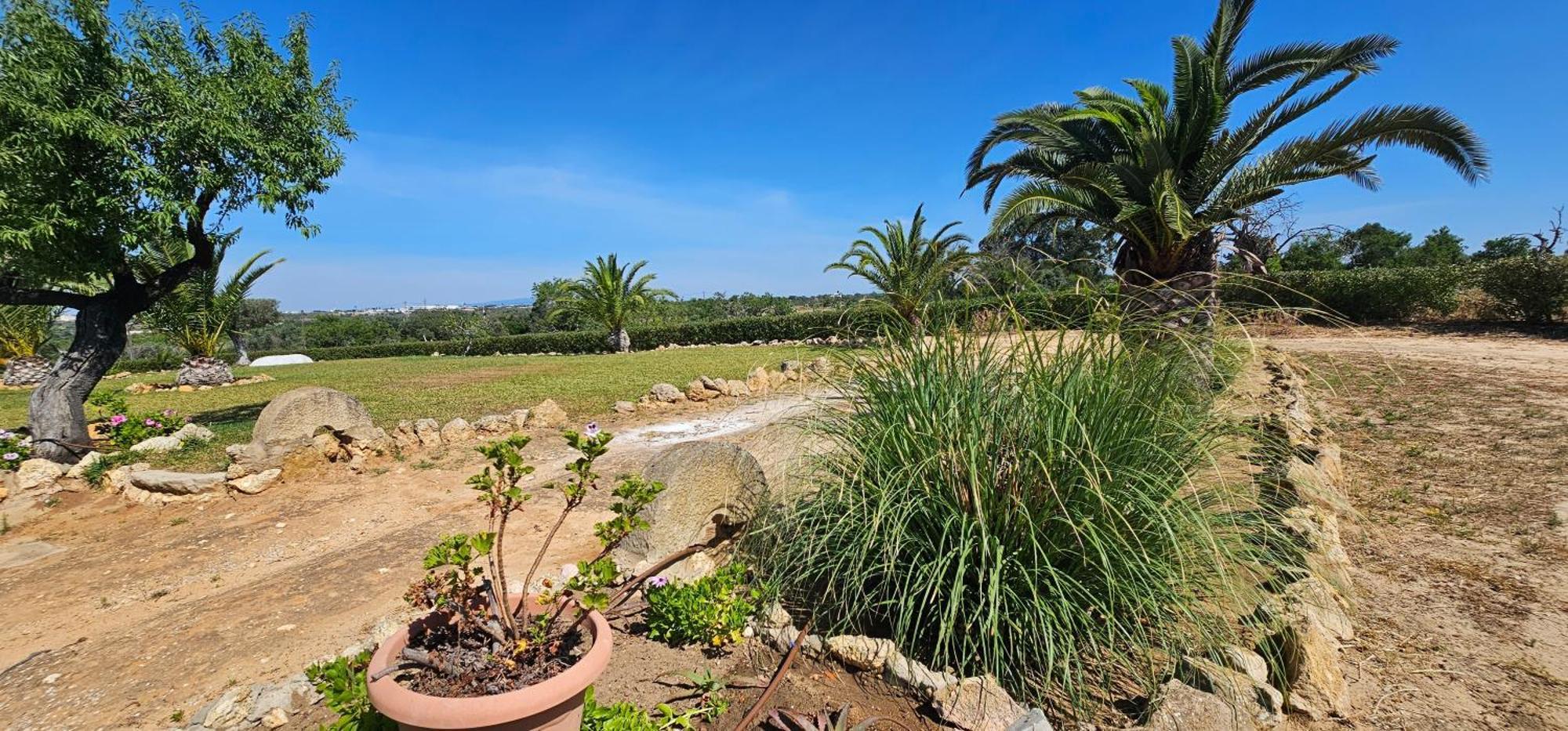 Quinta Do Lagar Villa Albufeira Eksteriør bilde