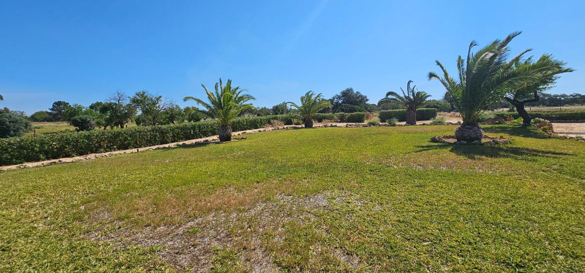 Quinta Do Lagar Villa Albufeira Eksteriør bilde