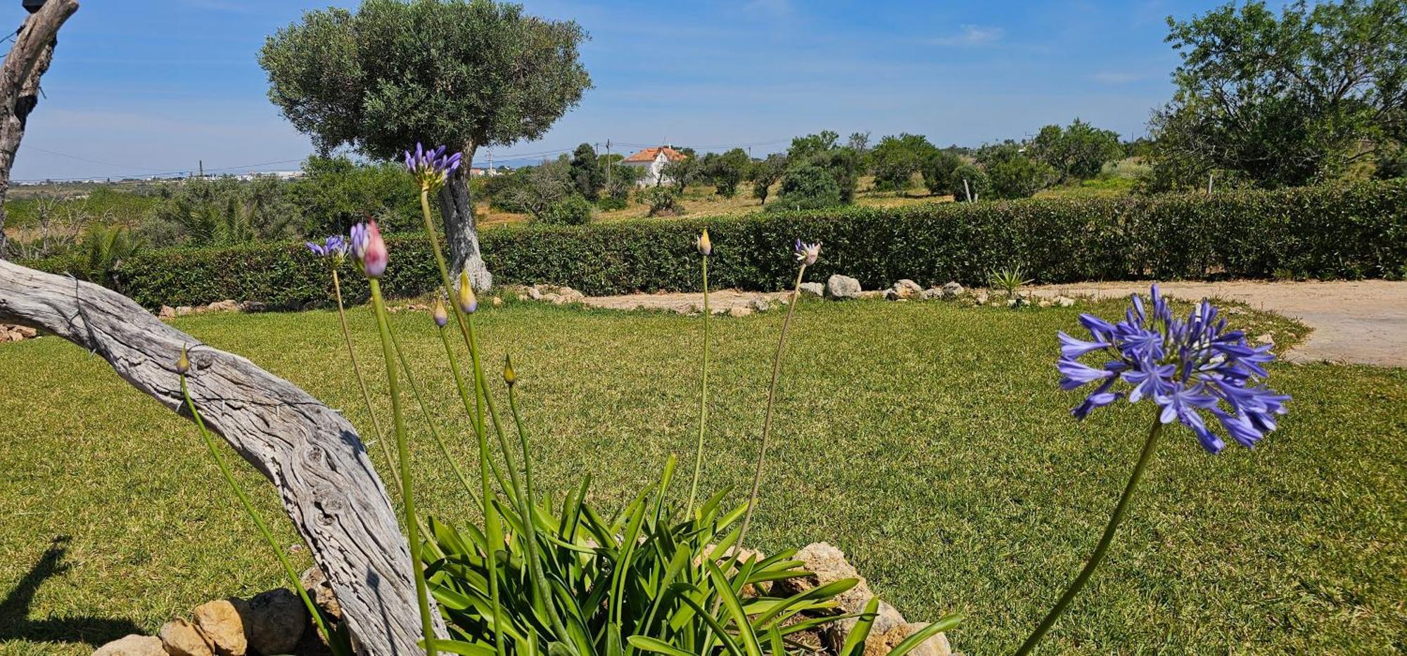 Quinta Do Lagar Villa Albufeira Eksteriør bilde
